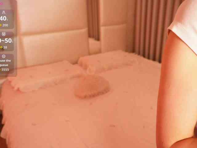 Rerince webcam