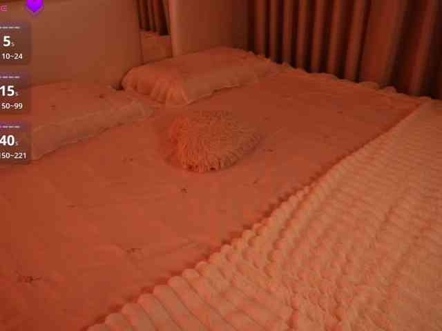 Rerince webcam