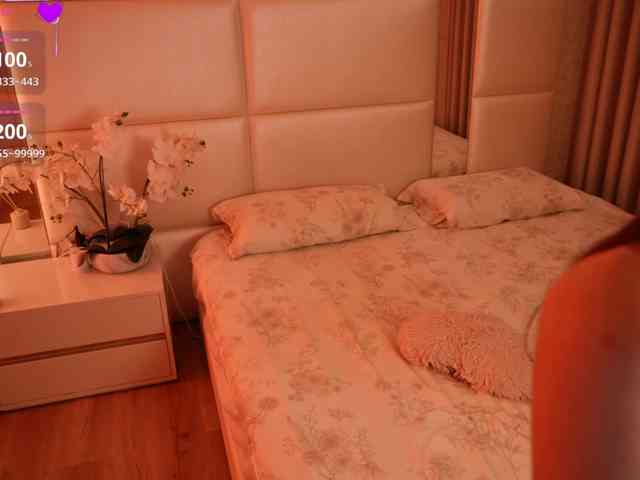 Rerince webcam