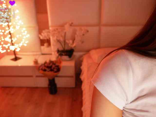 Rerince webcam