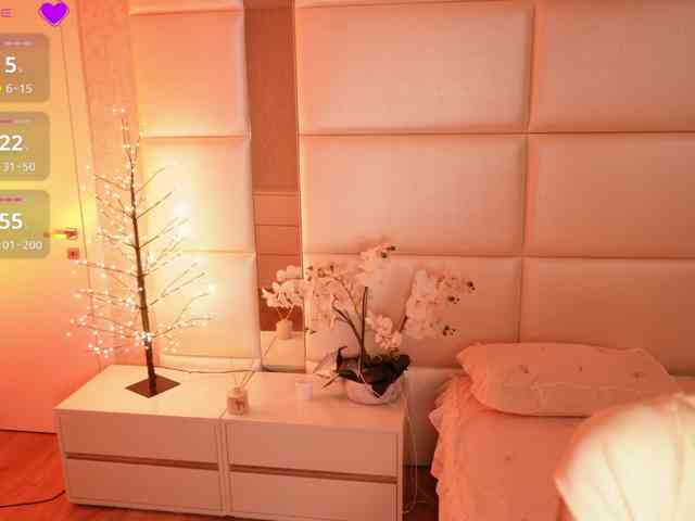 Rerince webcam