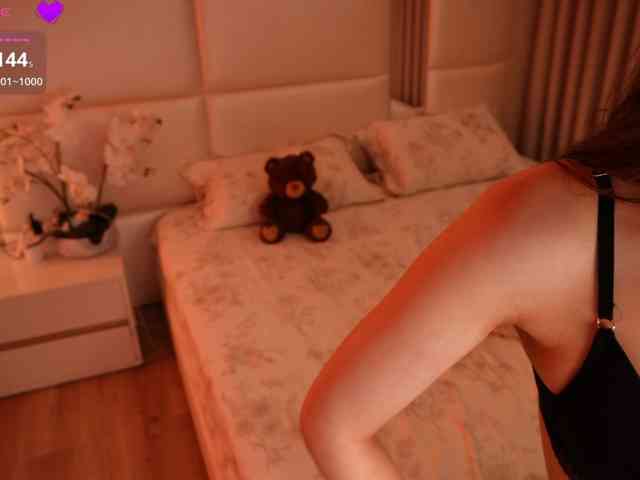 Rerince webcam
