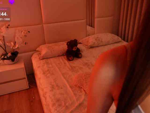 Rerince webcam