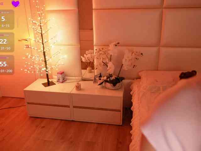 Rerince webcam