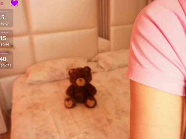 Rerince webcam