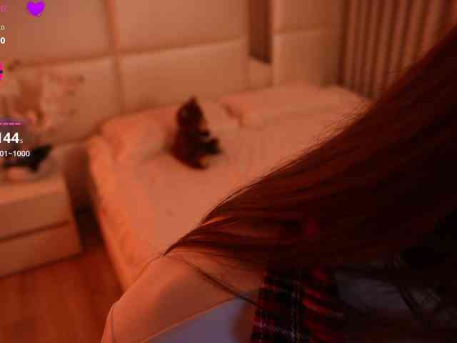 Rerince webcam