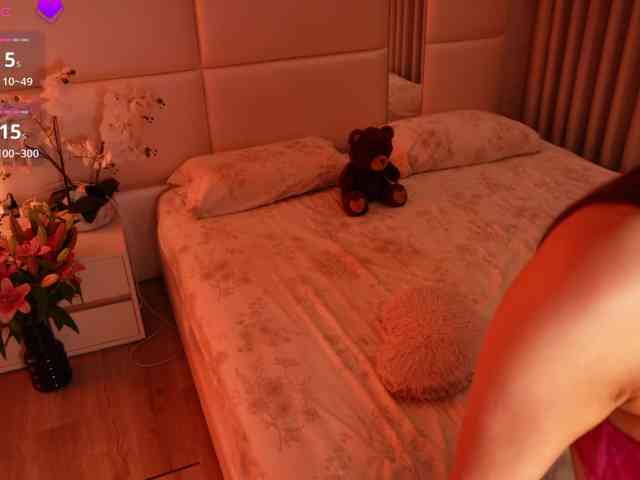 Rerince webcam