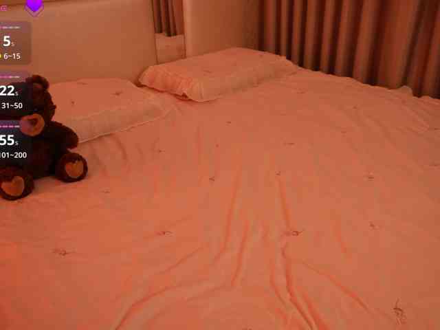 Rerince webcam