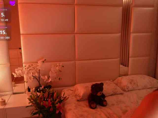 Rerince webcam