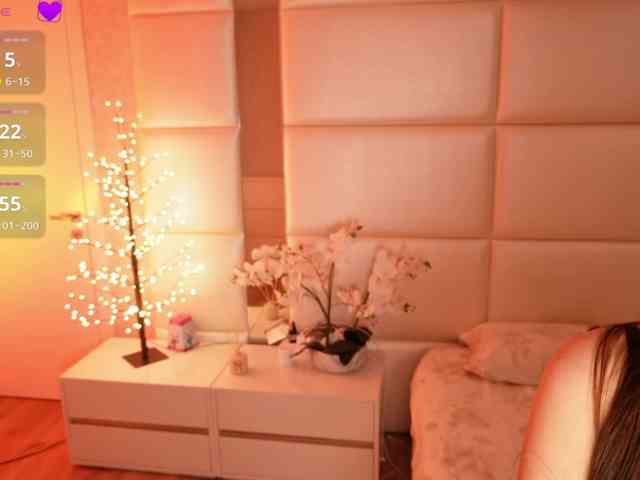Rerince webcam
