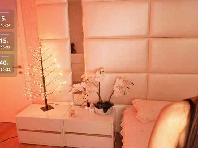 Rerince webcam