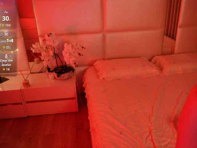 Rerince webcam