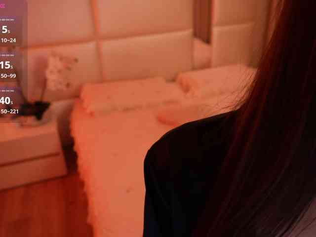 Rerince webcam