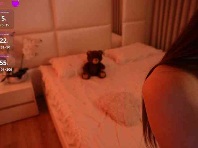 Rerince webcam