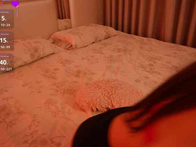 Rerince webcam