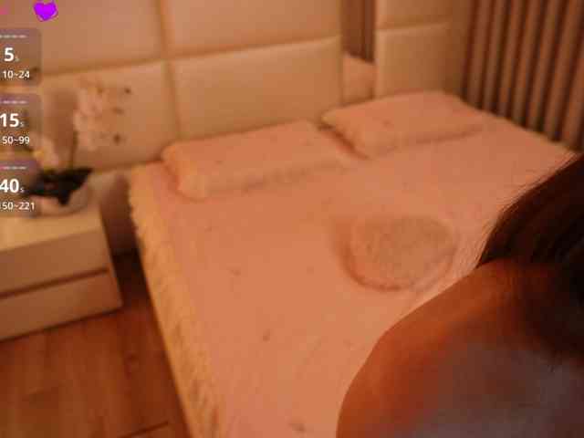 Rerince webcam