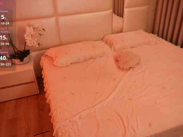 Rerince webcam
