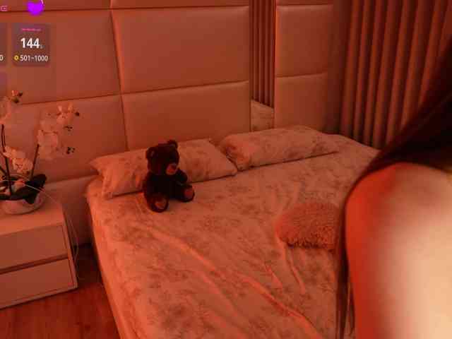 Rerince webcam