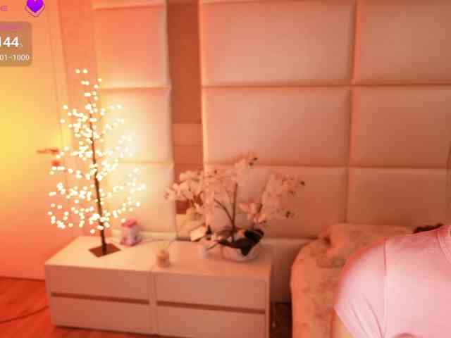 Rerince webcam