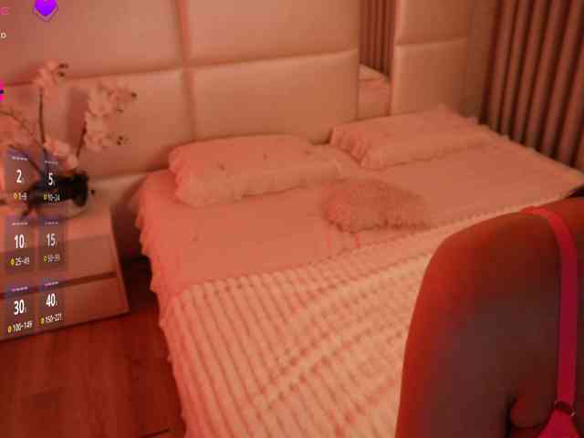 Rerince webcam