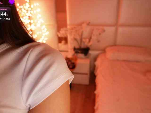 Rerince webcam