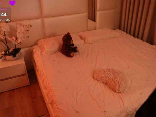 Rerince webcam