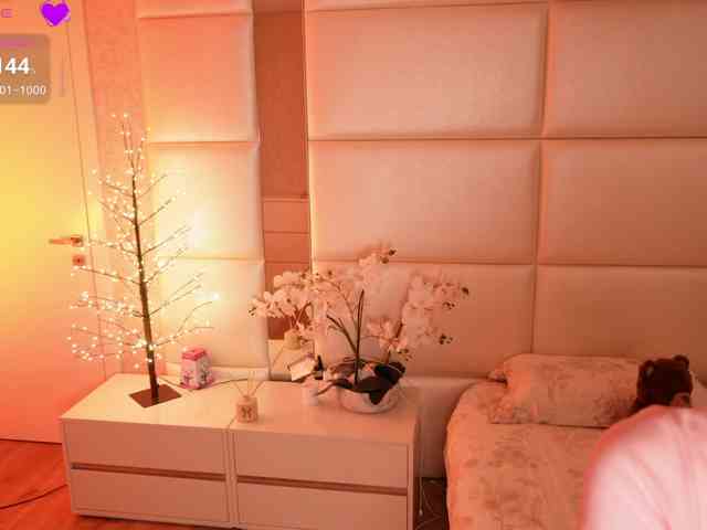 Rerince webcam