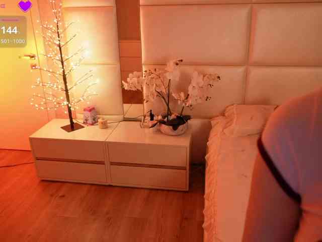Rerince webcam