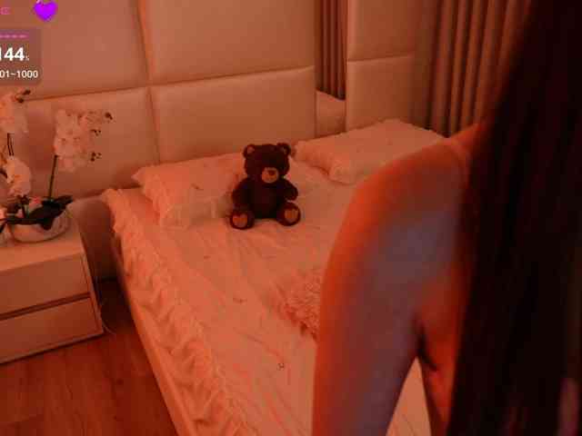 Rerince webcam