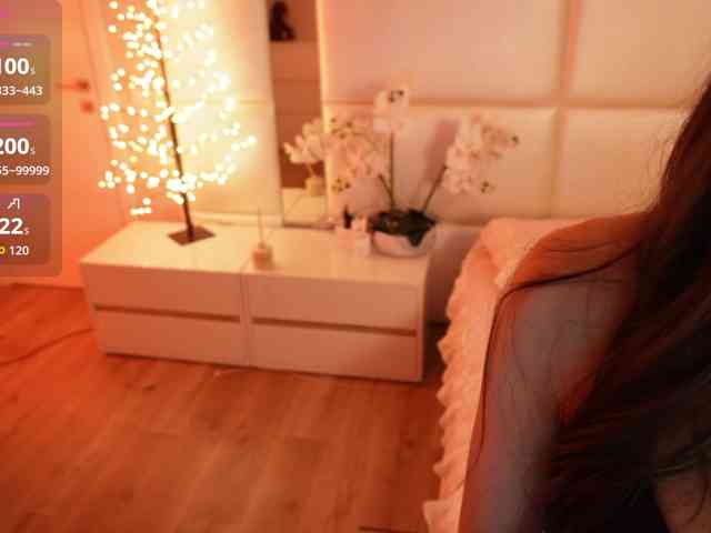Rerince webcam