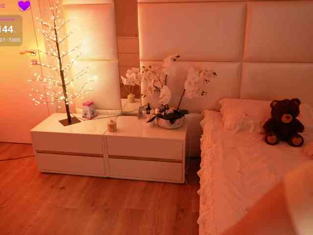 Rerince webcam