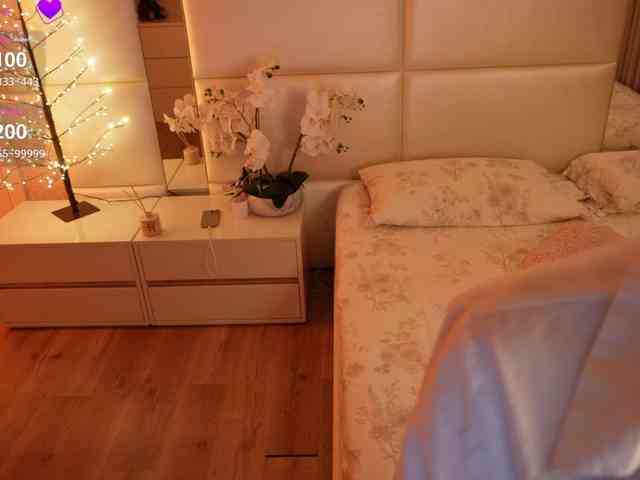 Rerince webcam