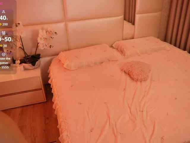 Rerince webcam