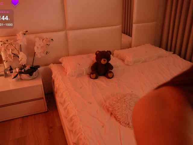 Rerince webcam
