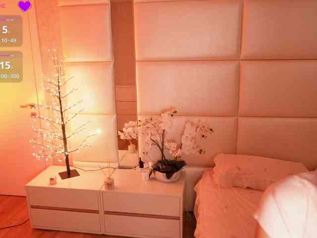 Rerince webcam
