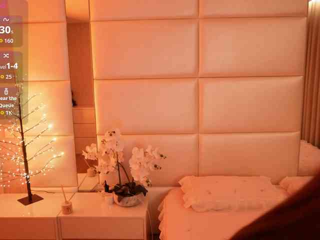 Rerince webcam