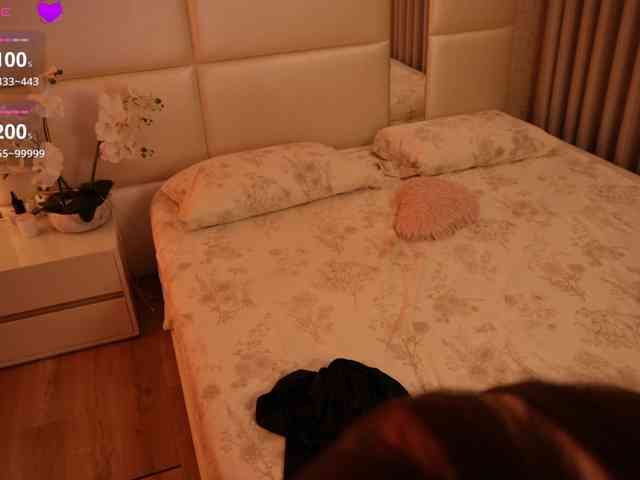 Rerince webcam