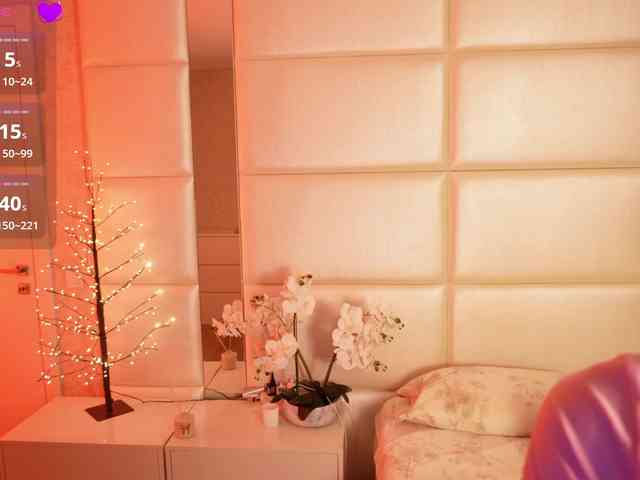 Rerince webcam