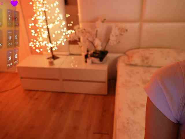 Rerince webcam