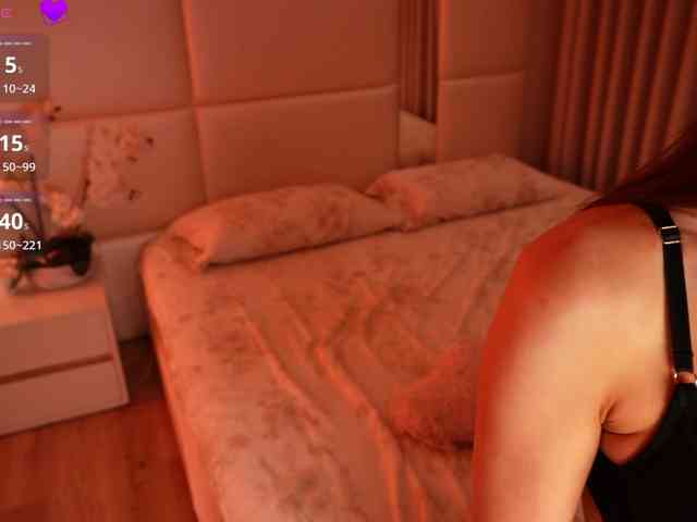 Rerince webcam