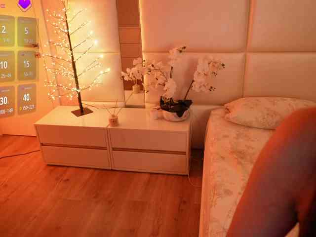 Rerince webcam