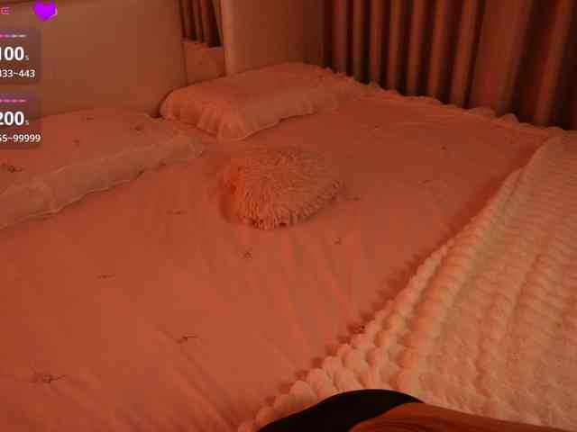 Rerince webcam