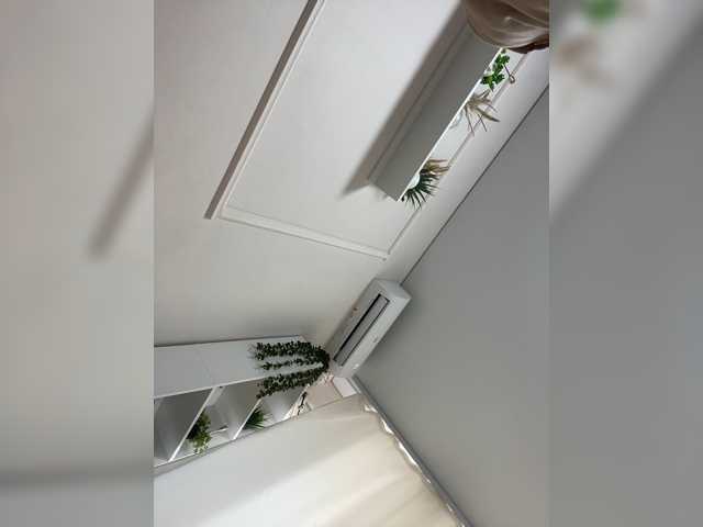 RadaRay55, live now on BongaCams