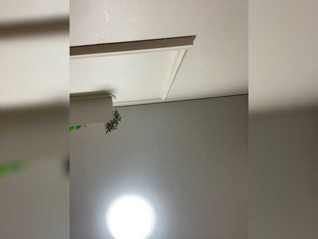 RadaRay55 live cam on BongaCams