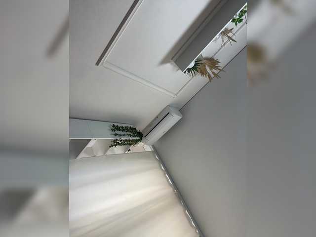 RadaRay55