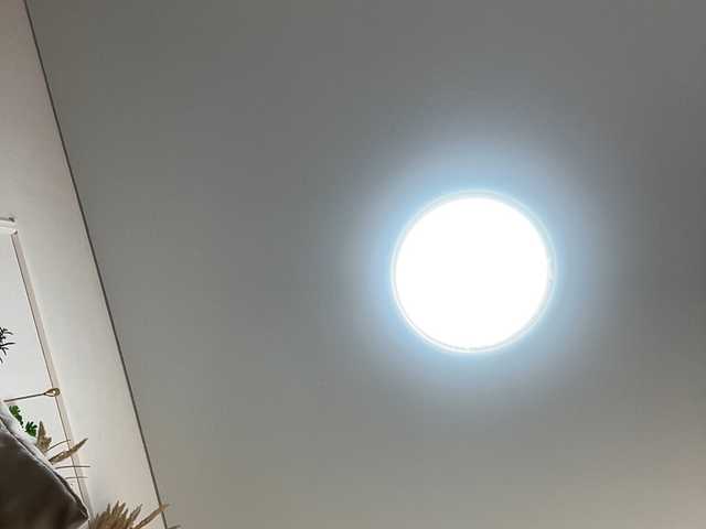 Preview of tvoyaboginya