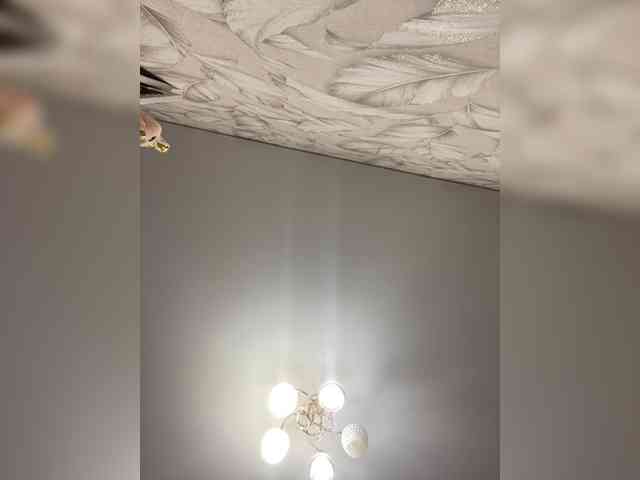 Tvoyaboginya webcam