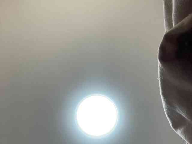 Tvoyaboginya webcam