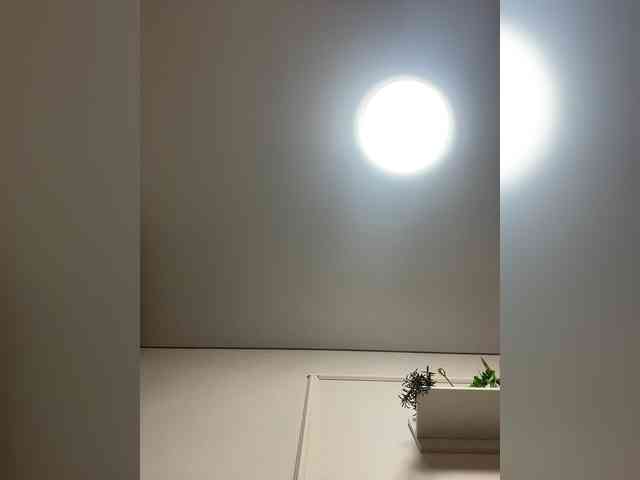 Tvoyaboginya webcam