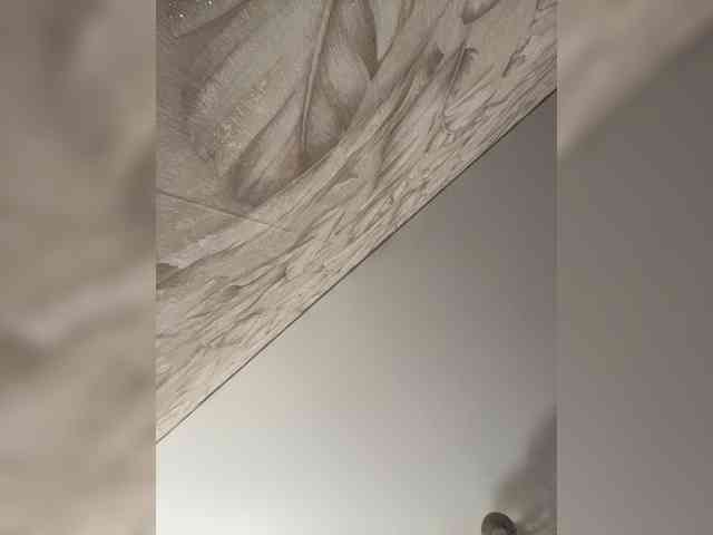 Tvoyaboginya webcam